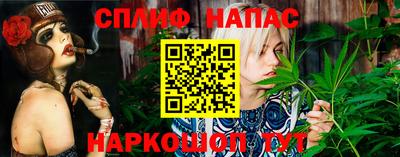 МДПВ Малоярославец