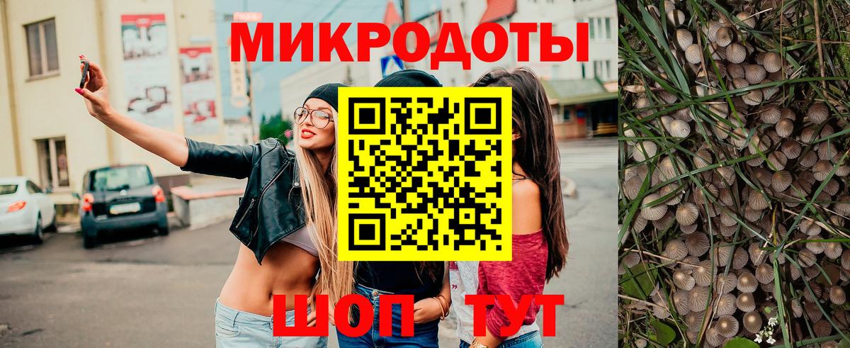 Псилоцибиновые грибы Psilocybe Туапсе