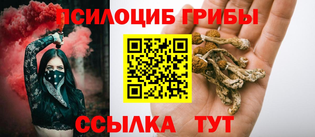 Псилоцибиновые грибы GOLDEN TEACHER  Вход с VPN  Псилоцибиновые грибы мицелий  Туапсе 